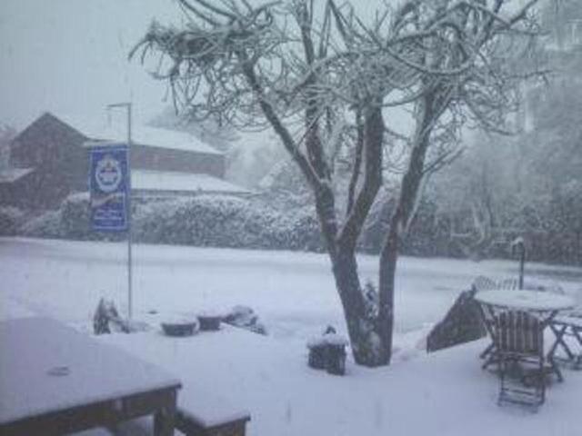 Forest Lodge Methven Luaran gambar