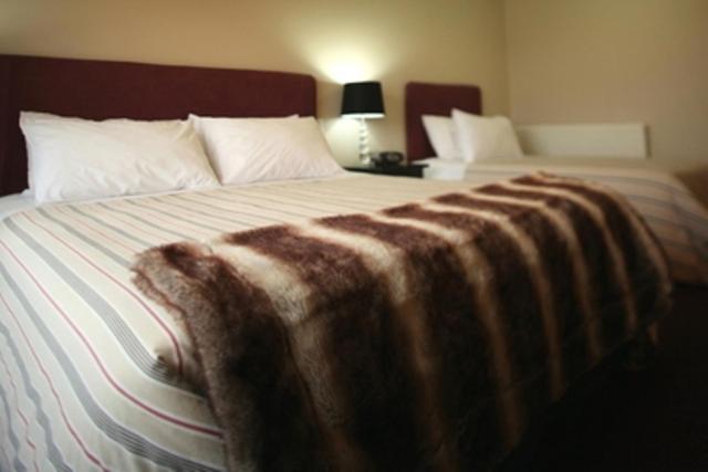 Forest Lodge Methven Bilik gambar